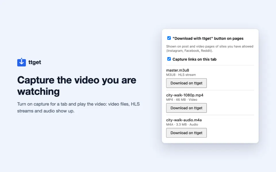 The ttget extension popup listing the video files found on a tab