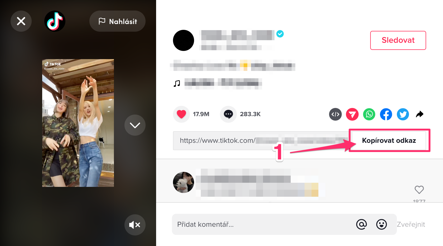 How to download video from TikTok - desktop screenshot step 1, 2