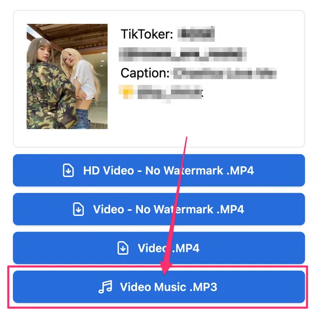 Choose "Video Music .MP3" to save TikTok audio