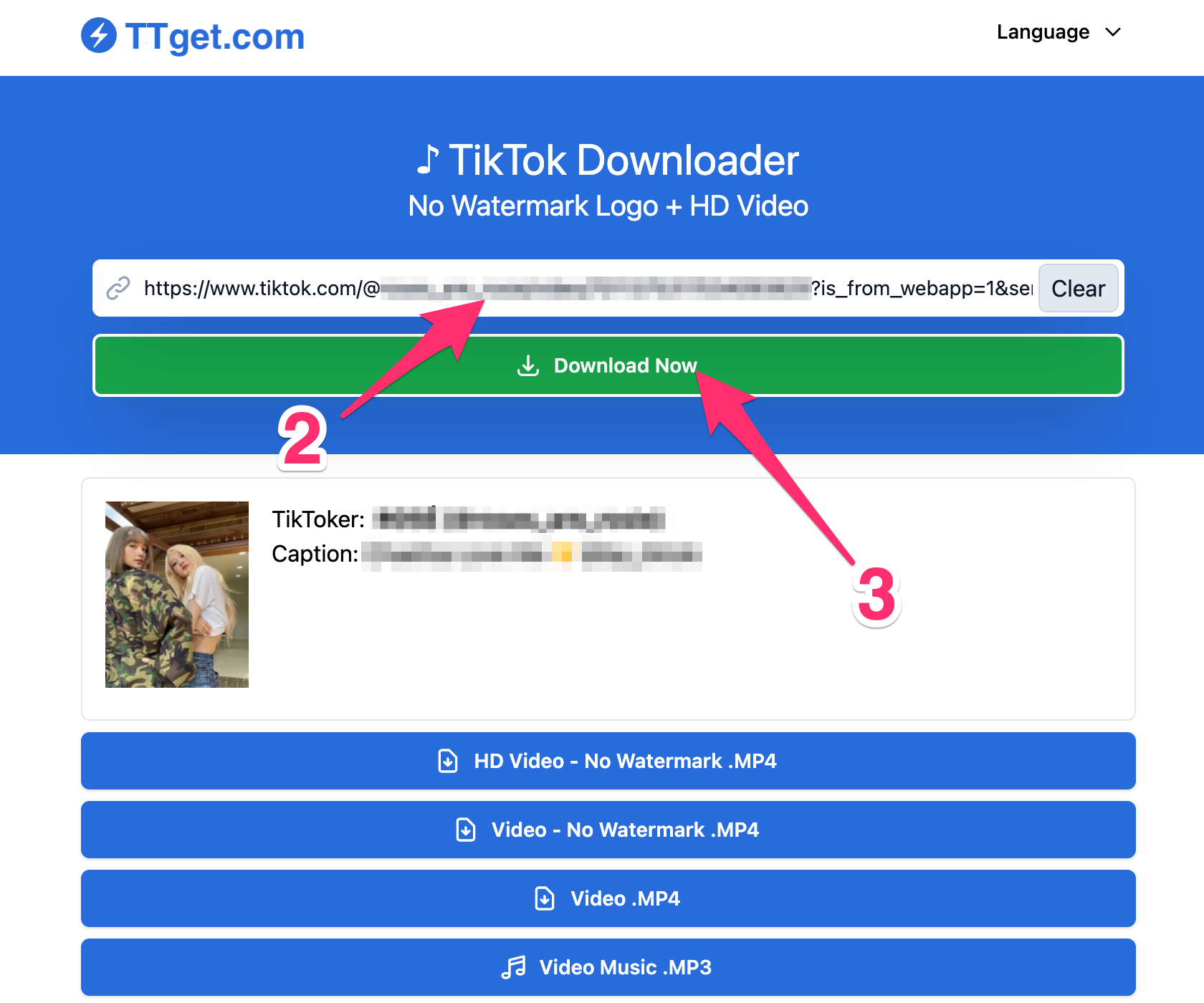 How to download video from TikTok - desktop screenshot step 3, 4