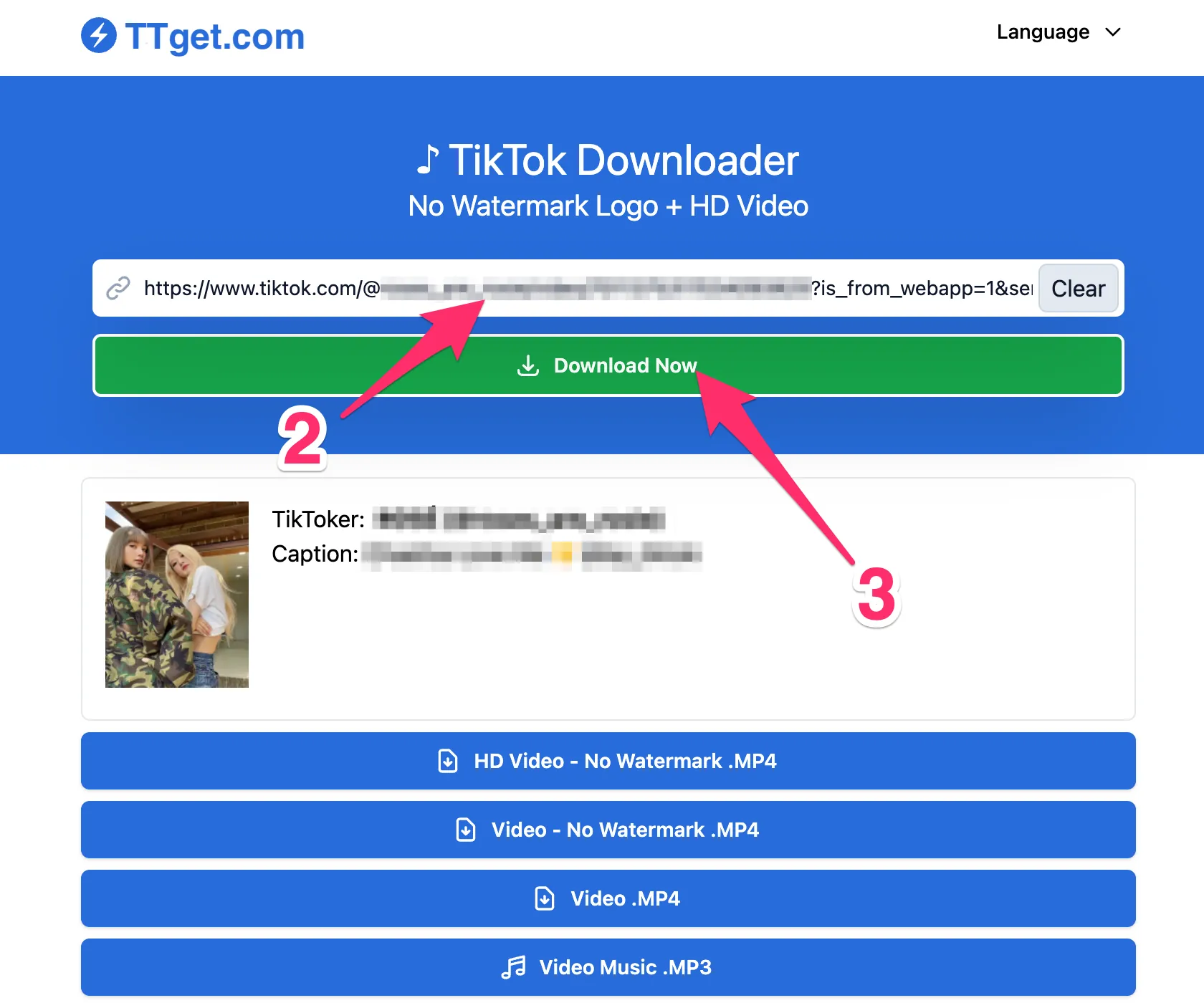 Open ttget.com. Paste the copied link into the input box.. Tap Download Now. All download options will show after a few seconds.