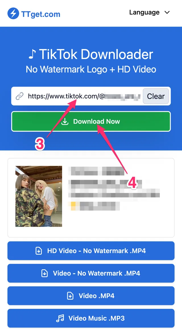 Open ttget.com. Paste the copied link into the input box.